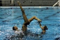 CISC Synchro