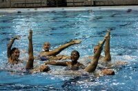 CISC Synchro