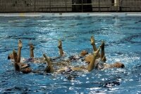 CISC Synchro