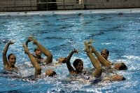 CISC Synchro